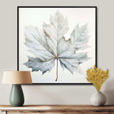 Silver Sycamore Leaf I - Floral Canvas Wall Art