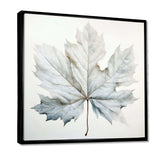 Silver Sycamore Leaf I - Floral Canvas Wall Art