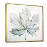 Silver Sycamore Leaf I - Floral Canvas Wall Art