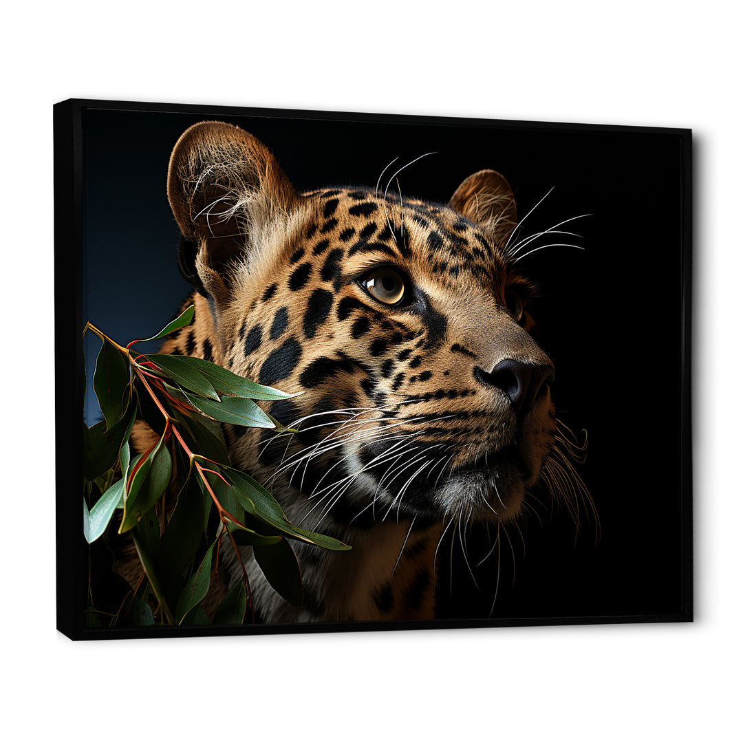 Leopard Glimpse Of Shadows - Black Leopard Wall Art