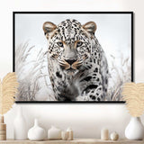 Jungle Leopard Stalk I - Animals Canvas Wall Art