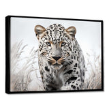 Jungle Leopard Stalk I - Animals Canvas Wall Art