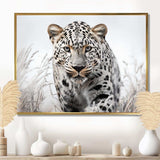 Jungle Leopard Stalk I - Animals Canvas Wall Art