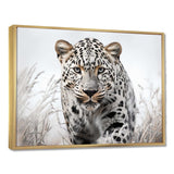 Jungle Leopard Stalk I - Animals Canvas Wall Art