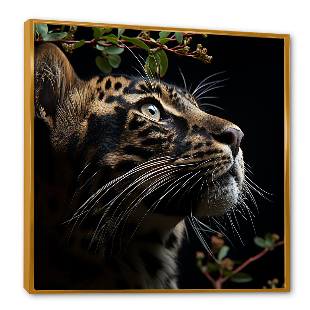 Leopard Nighttime Observer - Leopard Canvas Wall Art