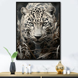 Graceful Leopard Predators In The Wild - Gray Leopard Wall Art