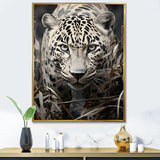 Graceful Leopard Predators In The Wild - Gray Leopard Wall Art