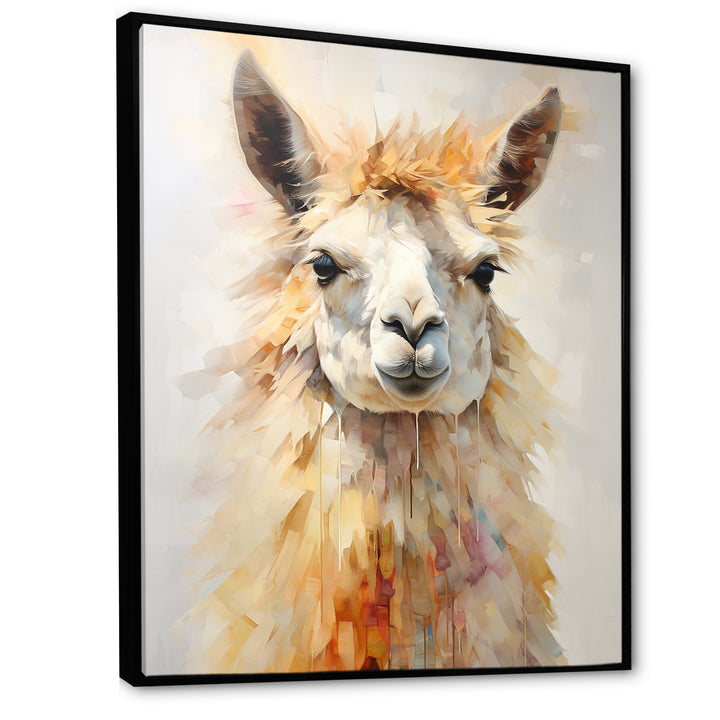 Furry Llama Portrait - Llama Wall Art Prints