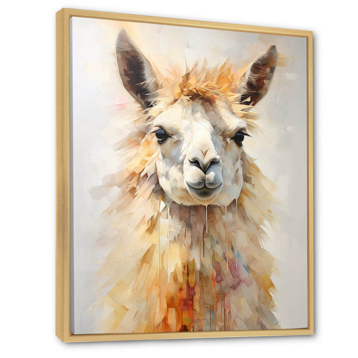 Furry Llama Portrait - Llama Wall Art Prints
