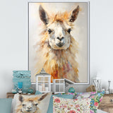 Furry Llama Portrait - Llama Wall Art Prints