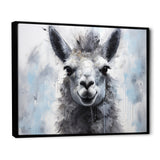 Grey Llama Portrait - Gray Llama Wall Art