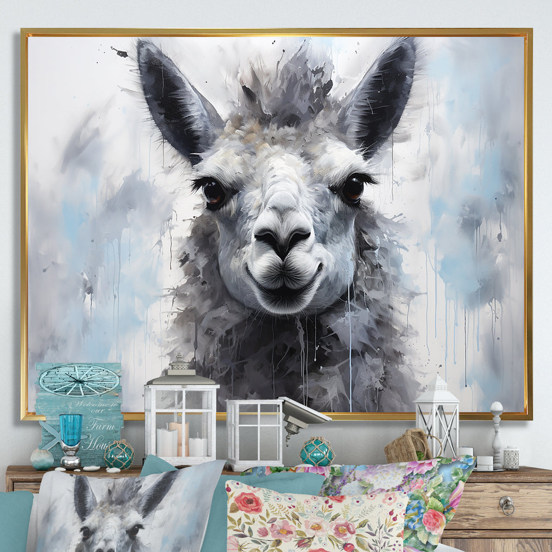 Grey Llama Portrait - Gray Llama Wall Art