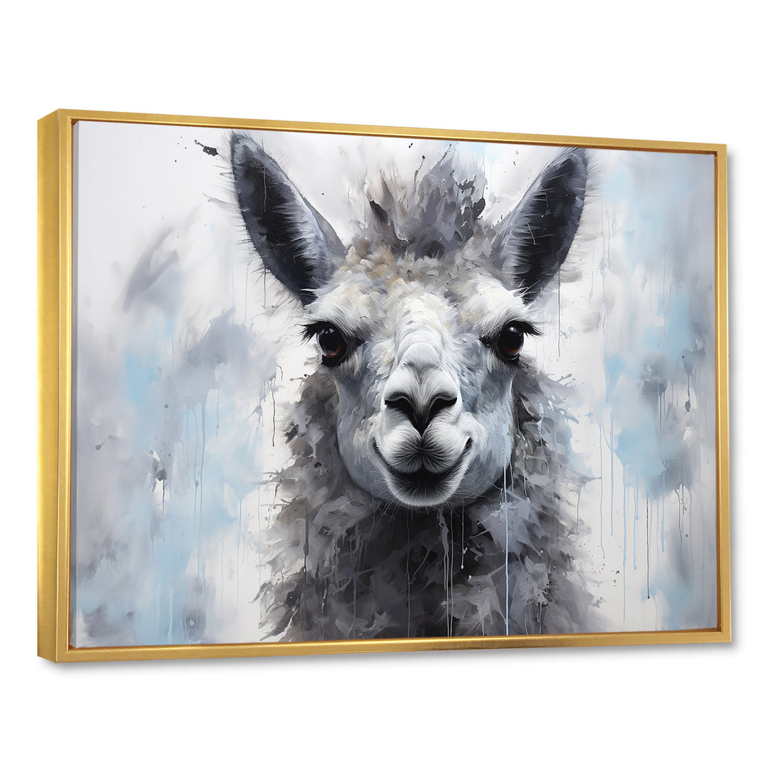 Grey Llama Portrait - Gray Llama Wall Art