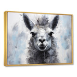 Grey Llama Portrait - Gray Llama Wall Art