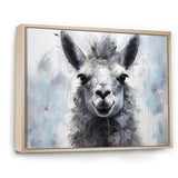 Grey Llama Portrait - Gray Llama Wall Art