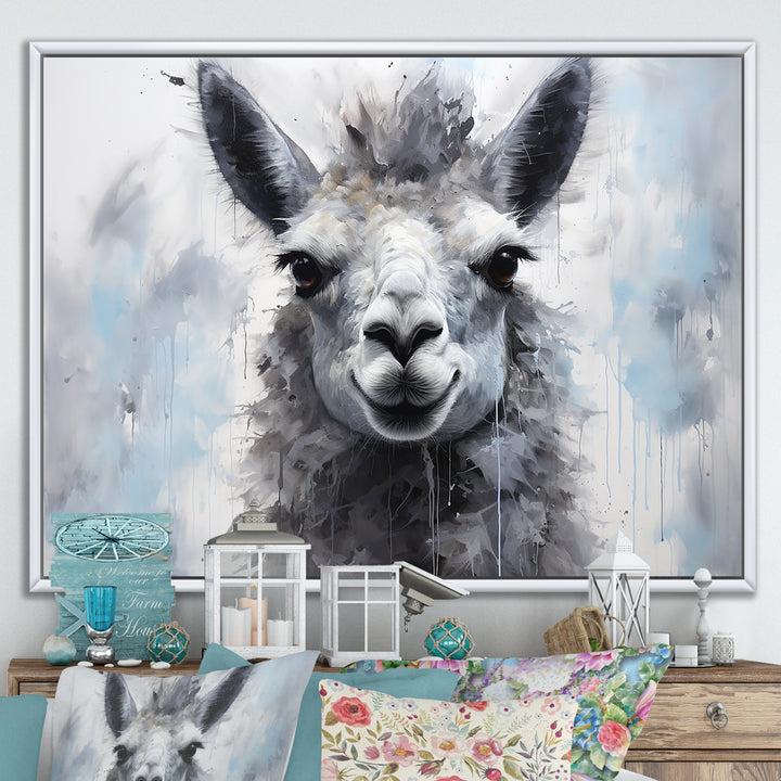 Grey Llama Portrait - Gray Llama Wall Art