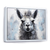 Grey Llama Portrait - Gray Llama Wall Art
