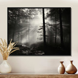 Black And White Forest Silence Photography I - Landscapes Canvas Wall Art