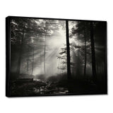 Black And White Forest Silence Photography I - Landscapes Canvas Wall Art