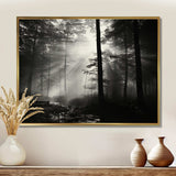 Black And White Forest Silence Photography I - Landscapes Canvas Wall Art