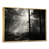 Black And White Forest Silence Photography I - Landscapes Canvas Wall Art