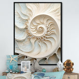 Ivory Infinity Sea Sheel Spiral - Nautilus Framed Canvas Art