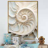 Ivory Infinity Sea Sheel Spiral - Nautilus Framed Canvas Art
