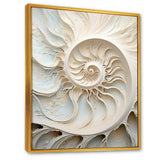Ivory Infinity Sea Sheel Spiral - Nautilus Framed Canvas Art