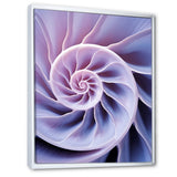 Lavender Sea Sheel Infinity Spiral - Nautilus Home Decor Art