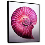 Magenta Marine Sea Sheel Spiral - Nautilus Bedroom Wall Art