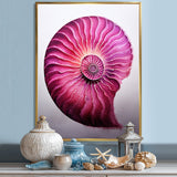 Magenta Marine Sea Sheel Spiral - Nautilus Bedroom Wall Art
