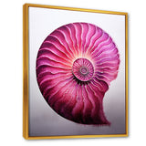 Magenta Marine Sea Sheel Spiral - Nautilus Bedroom Wall Art
