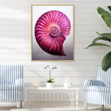 Magenta Marine Sea Sheel Spiral - Nautilus Bedroom Wall Art