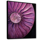 Nautilus Plum Shellfish - Purple Nautilus Wall Art