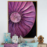 Nautilus Plum Shellfish - Purple Nautilus Wall Art