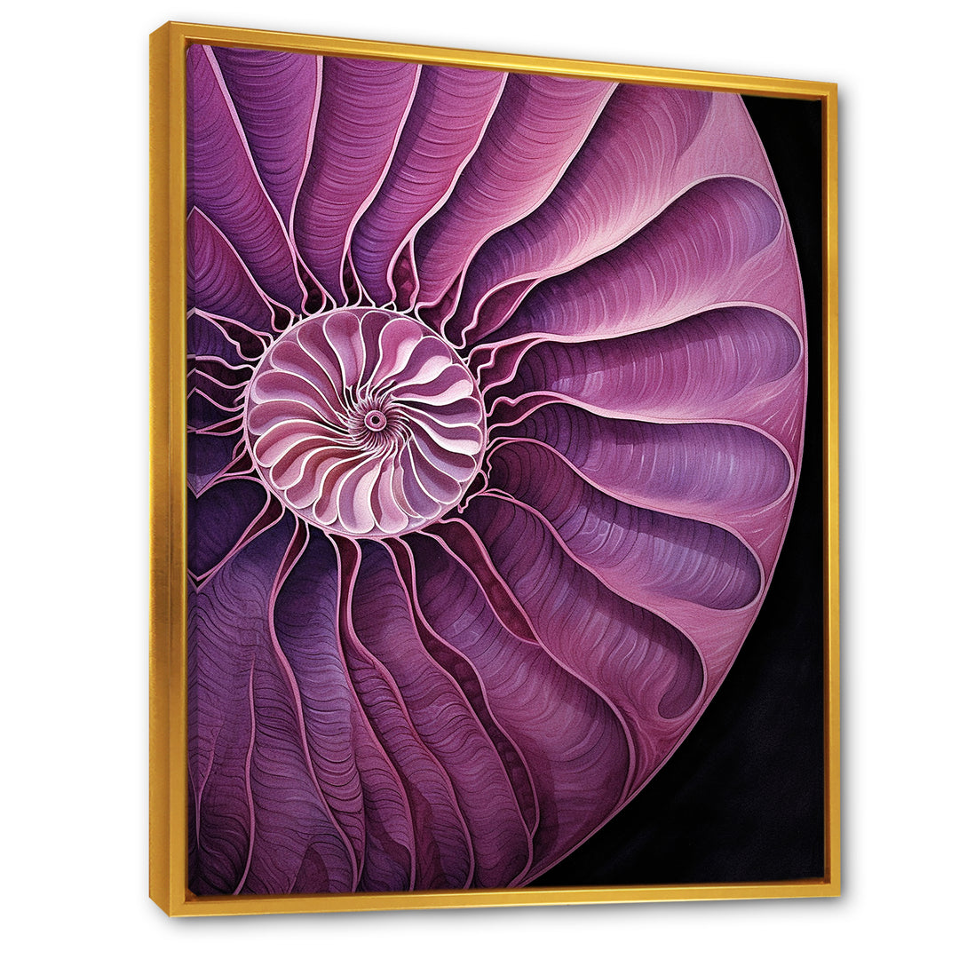 Nautilus Plum Shellfish - Purple Nautilus Wall Art