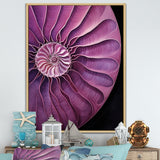 Nautilus Plum Shellfish - Purple Nautilus Wall Art