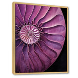 Nautilus Plum Shellfish - Purple Nautilus Wall Art