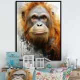 Brown Orangutan In Rainforest - Orangutan Wall Art Prints