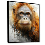 Brown Orangutan In Rainforest - Orangutan Wall Art Prints