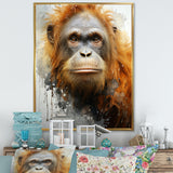 Brown Orangutan In Rainforest - Orangutan Wall Art Prints