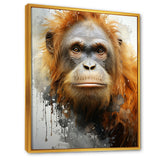 Brown Orangutan In Rainforest - Orangutan Wall Art Prints