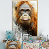 Brown Orangutan In Rainforest - Orangutan Wall Art Prints