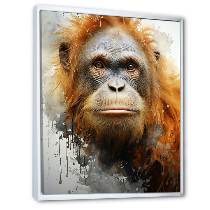 Brown Orangutan In Rainforest - Orangutan Wall Art Prints
