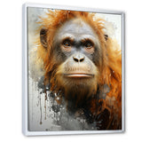 Brown Orangutan In Rainforest - Orangutan Wall Art Prints