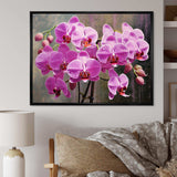 Pink Orchids Oasis I - Floral Canvas Wall Art