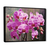 Pink Orchids Oasis I - Floral Canvas Wall Art