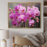 Pink Orchids Oasis I - Floral Canvas Wall Art