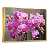 Pink Orchids Oasis I - Floral Canvas Wall Art