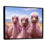 Pink Ostriches Mirage Portrait - Ostriches Wall Art Prints